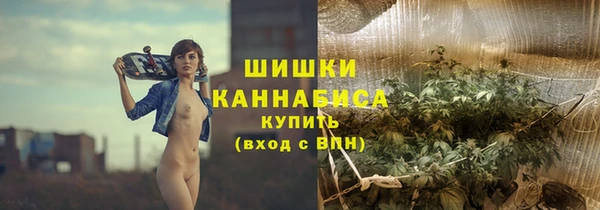 мдпв Вяземский