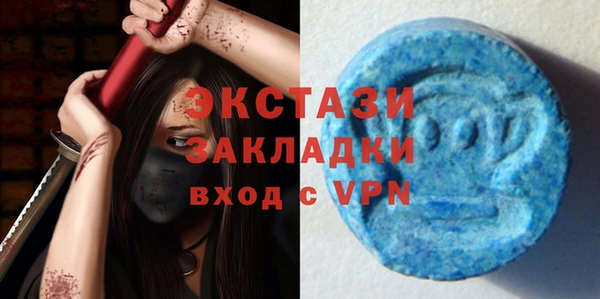 мдпв Вяземский