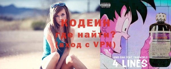 мдпв Вяземский