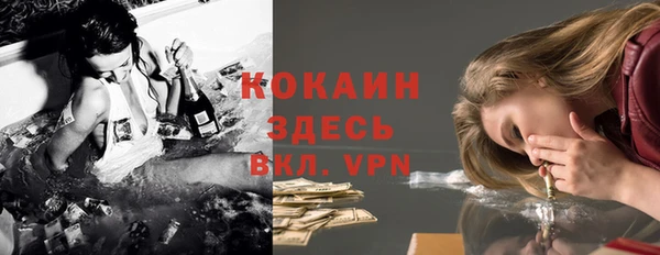 мдпв Вяземский