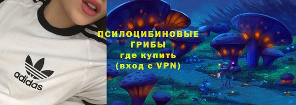 мдпв Вяземский