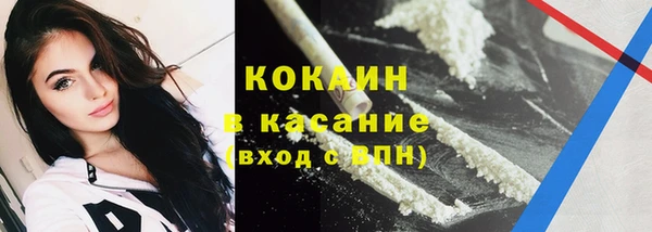 мдпв Вяземский