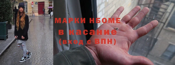 мдпв Вяземский