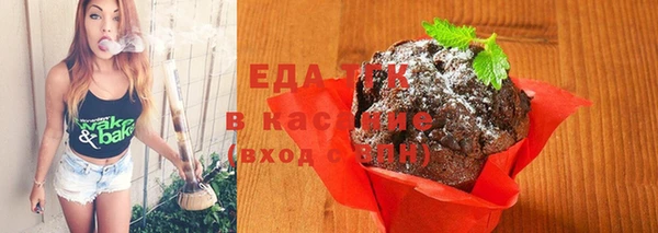 мдпв Вяземский