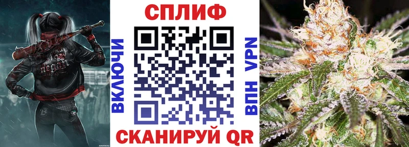 Канабис гибрид Зубцов